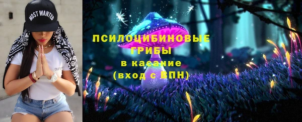 не бодяженный Алзамай