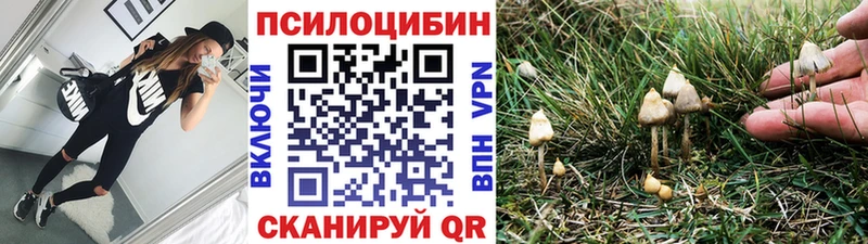цена   Апатиты  Псилоцибиновые грибы ЛСД 